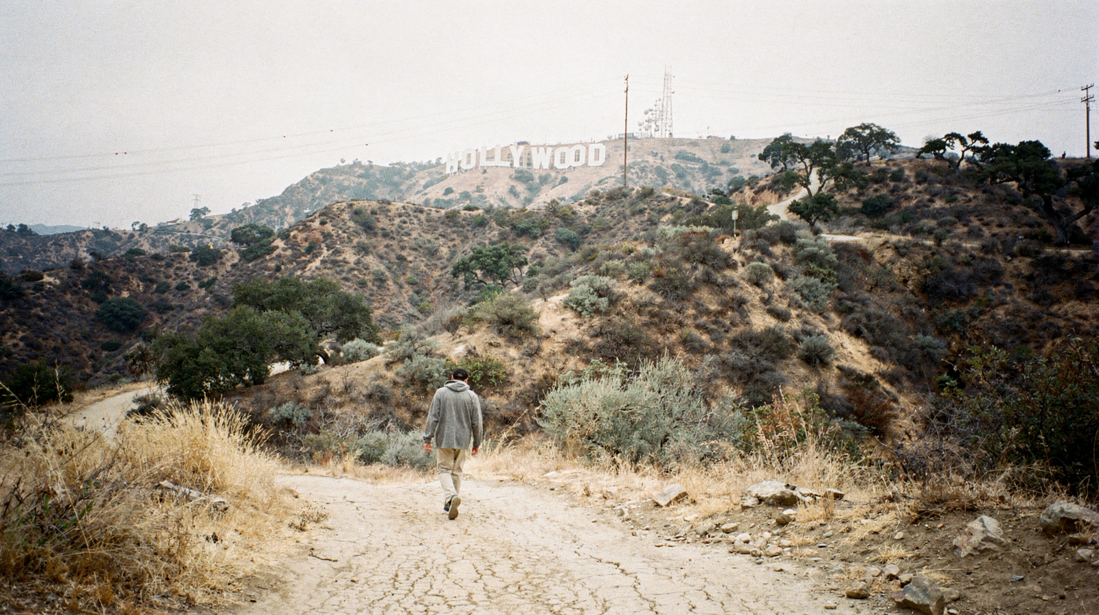 How to See the Hollywood Sign (Not Get Close to It)
