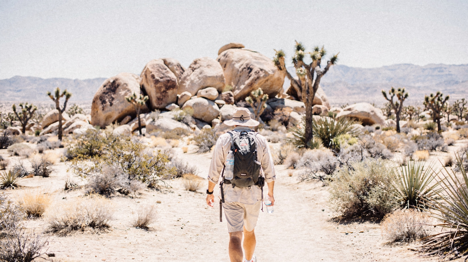 Visiting the Desert in Summer: Why I'd Think Twice