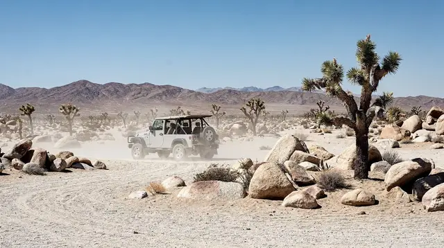 Desert adventures