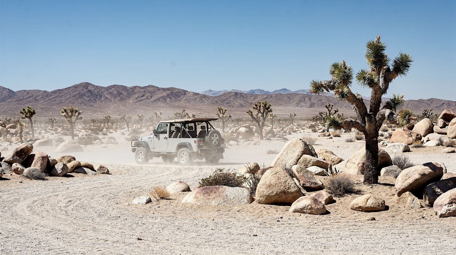 Desert Adventures