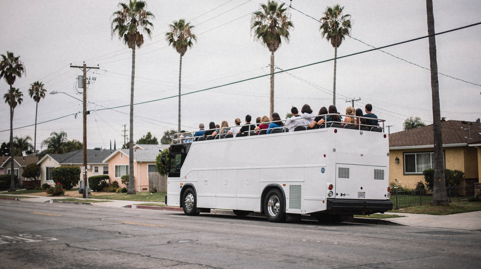 Sightseeing Tours