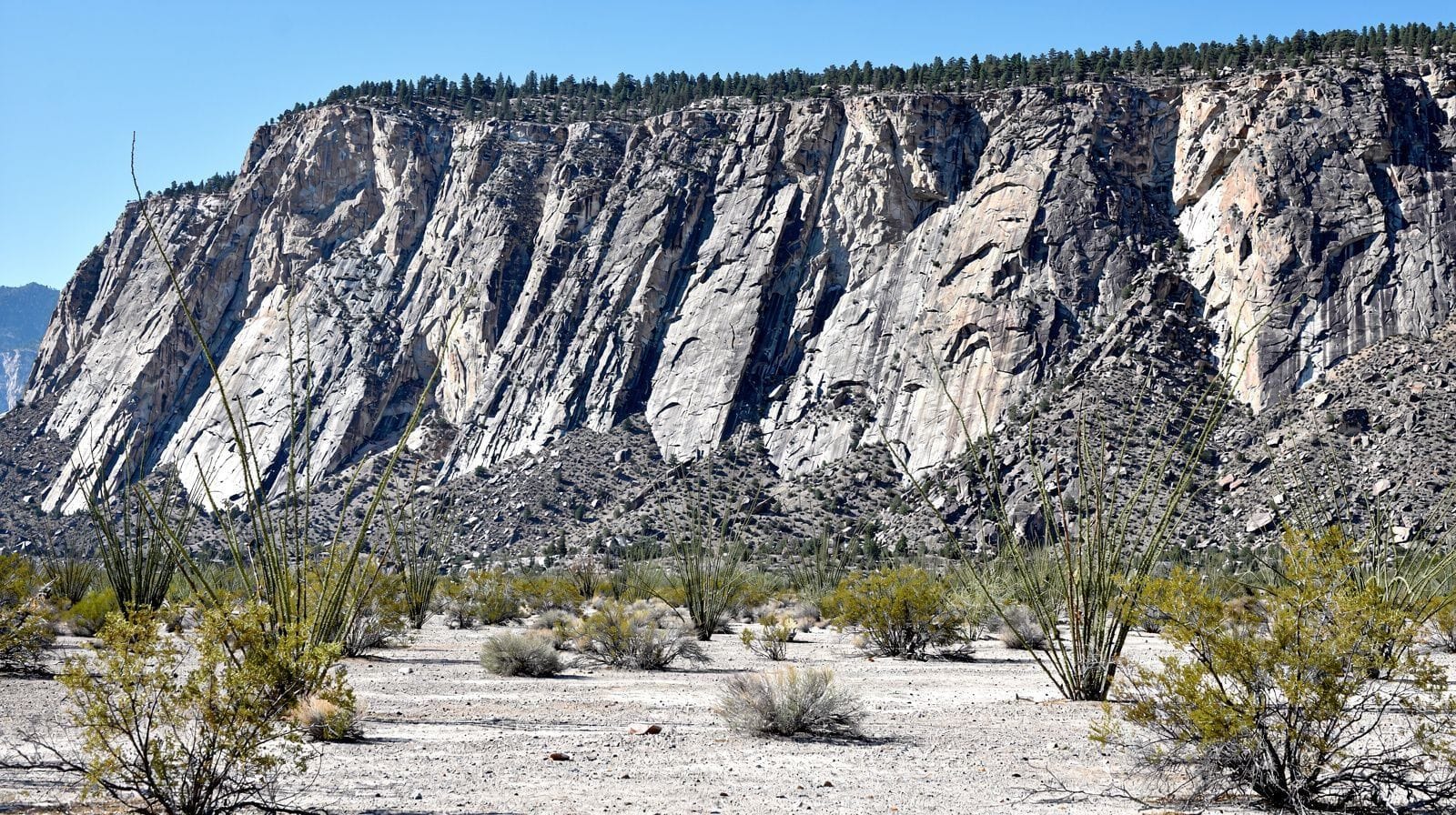 Anza & the San Jacinto Mountains