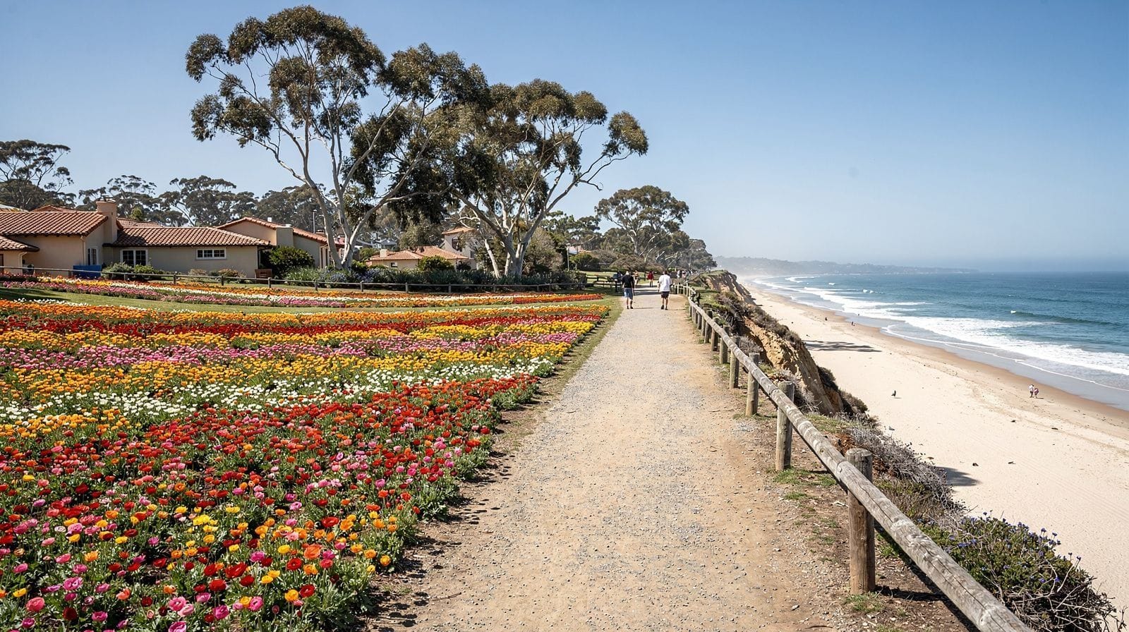 Carlsbad