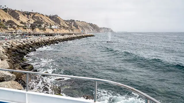 Dana point