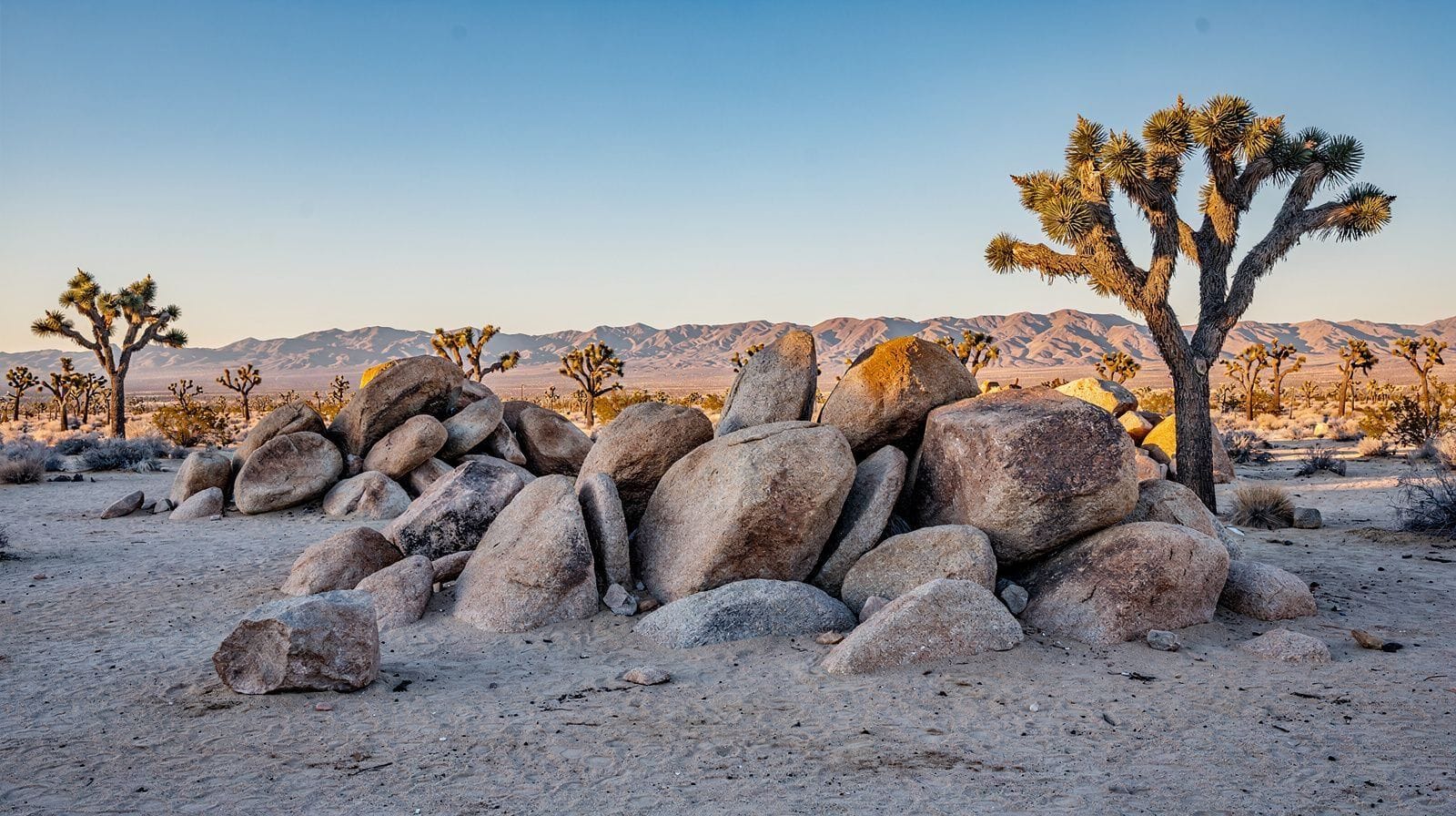 Joshua Tree: Where to Stay and What to Do in Town