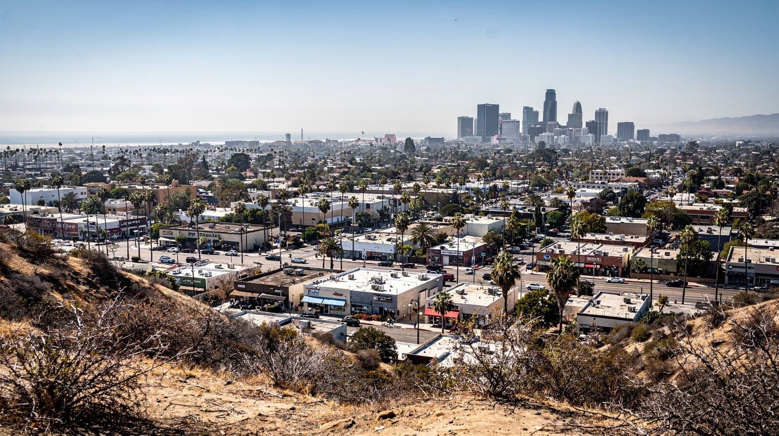 Los Angeles Travel Guide: How to Plan Your Visit