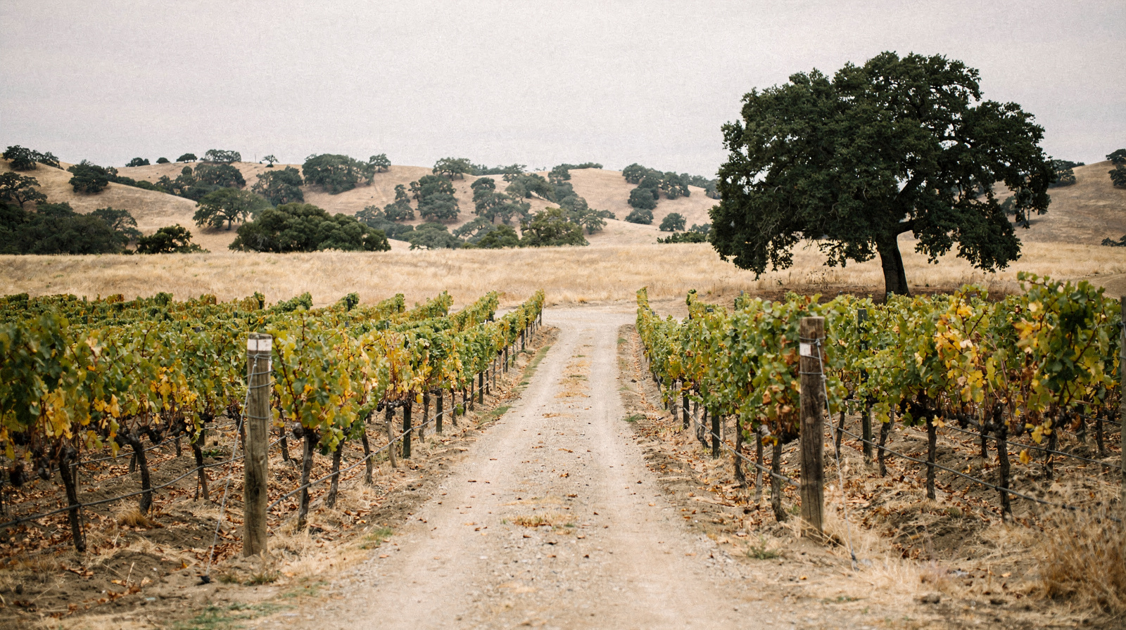 Santa Ynez Valley