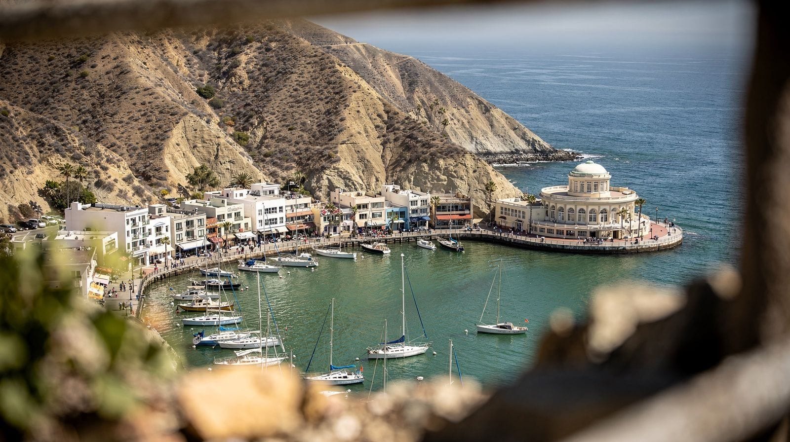 Private Tours of Catalina Island: Golf Carts, Avalon and Local Guides