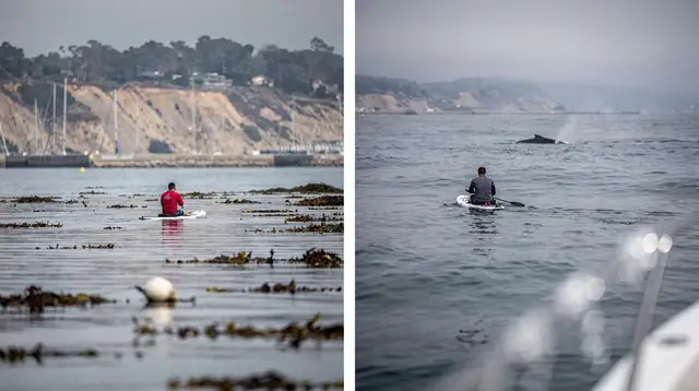 Dana Point Water Sports: Sea Cave Kayaking and Guided Paddleboarding