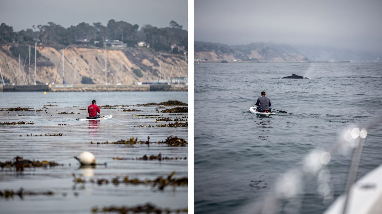 Dana Point Water Sports: Sea Cave Kayaking and Guided Paddleboarding