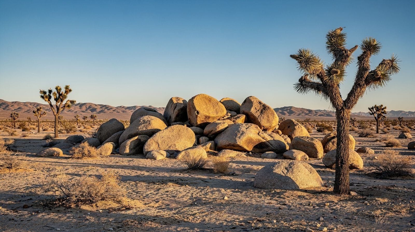 Joshua Tree Desert Adventures: Stargazing, Caves and Full Moon Hikes