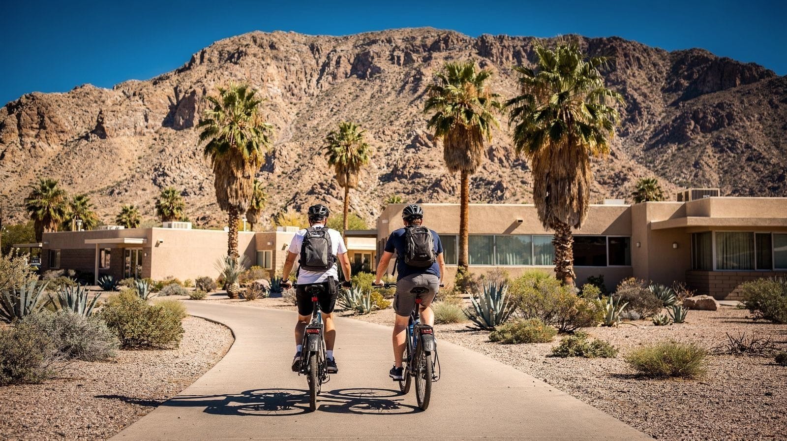 Palm Springs Bike and E-Scooter Tours: What to Know Before You Book