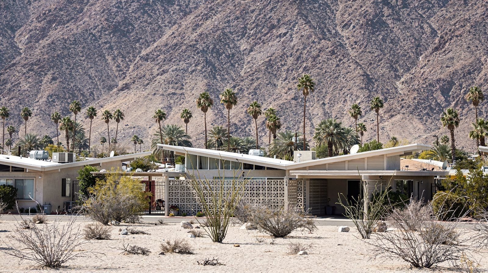 Palm Springs Sightseeing Tours: Guided Ways to See the Desert