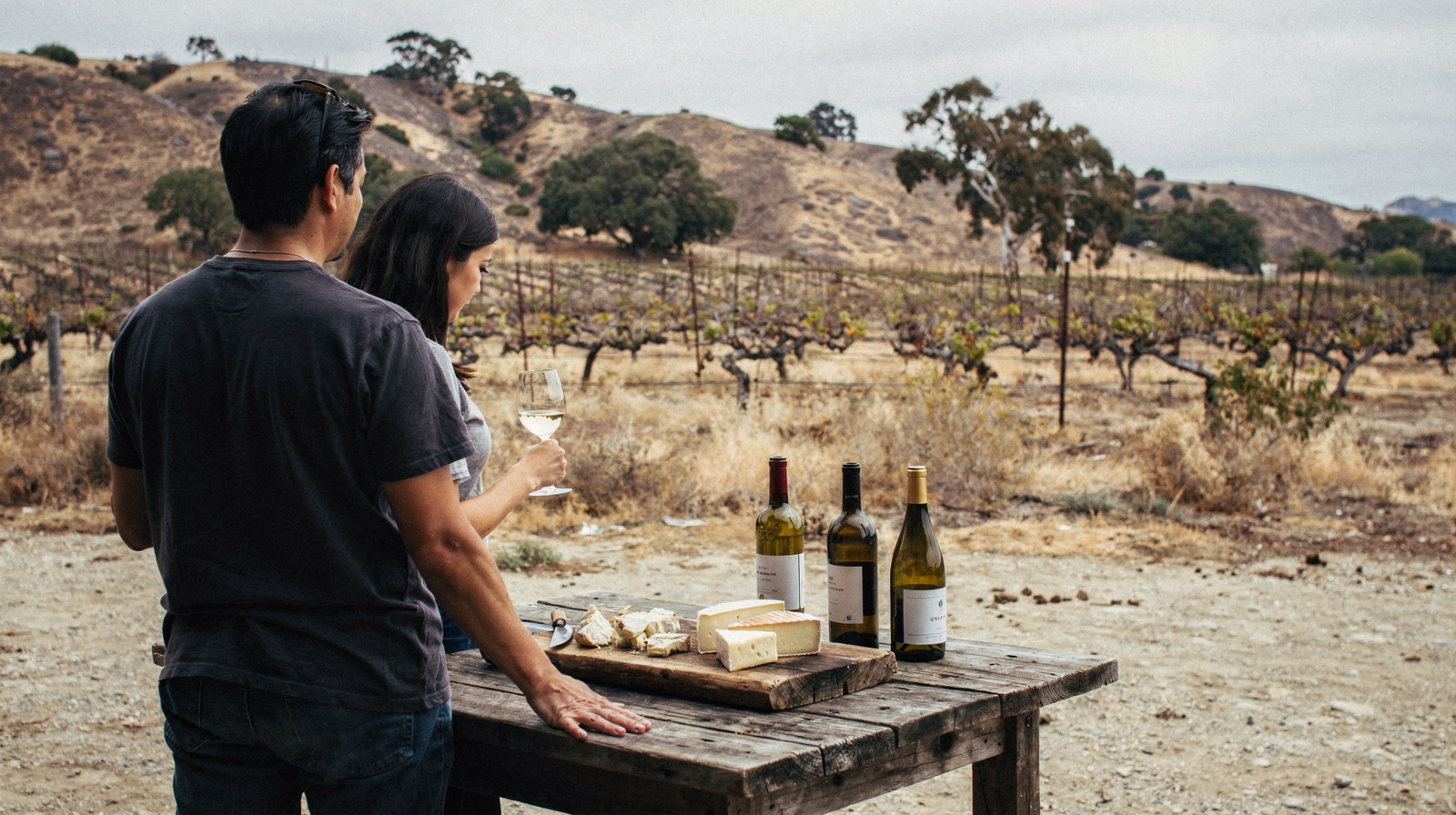 Wine Tasting and Drinks: San Diego and Temecula from Los Angeles