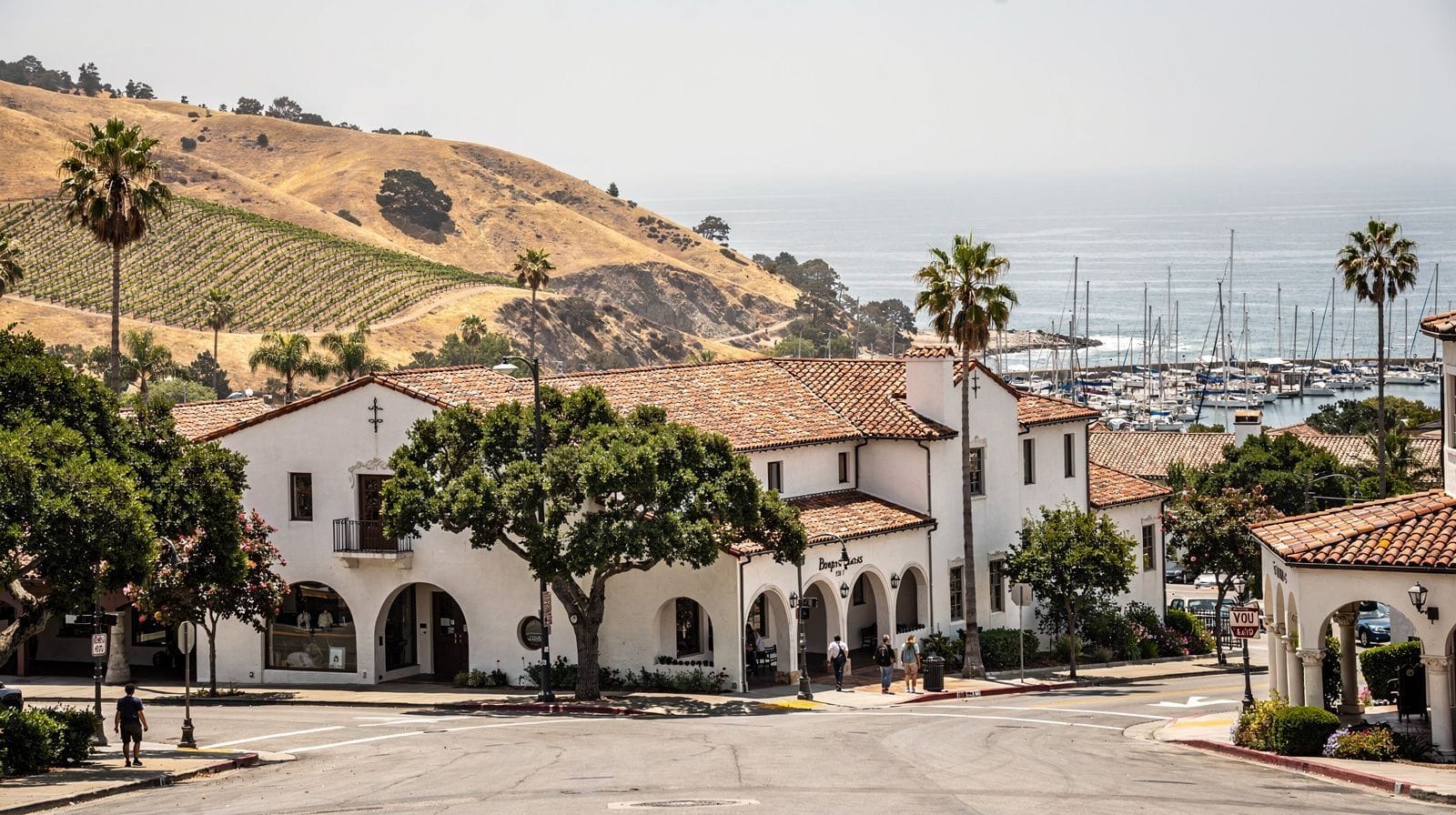 Santa Barbara Activities Compared: Taste, Sail, Paddle or Pose