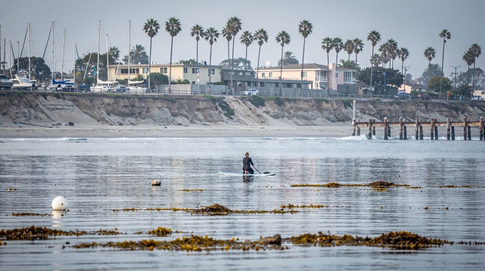 Learning to Surf in Santa Monica and Venice Beach