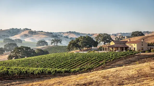 Temecula Wine Country: Wine Tasting, Hot-Air Balloons and Paramotor Flights