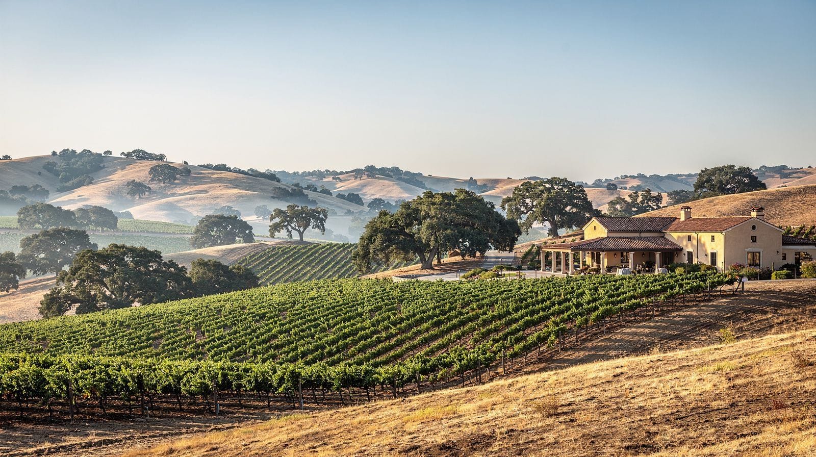 Temecula Wine Country: Wine Tasting, Hot-Air Balloons and Paramotor Flights