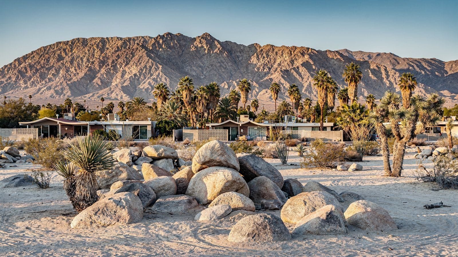 4 Days in the Desert: Palm Springs, Joshua Tree and Death Valley